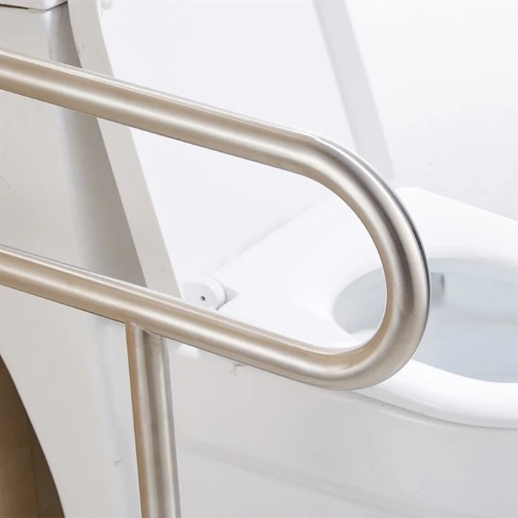 handicap grab bars in bathroom